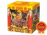 Красивая жизнь Фейерверк купить в Сосновом Боре Ленинградской области | sosnovyjborleningradskaya.salutsklad.ru