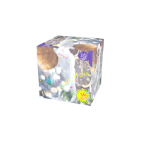 Новогодняя ночь Салют купить в Сосновом Боре Ленинградской области | sosnovyjborleningradskaya.salutsklad.ru