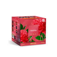 Пионы Салют купить в Сосновом Боре Ленинградской области | sosnovyjborleningradskaya.salutsklad.ru