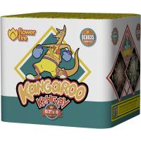 Кенгуру Батарея салютов купить в Сосновом Боре Ленинградской области | sosnovyjborleningradskaya.salutsklad.ru