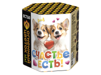 Счастье есть! Салют купить в Сосновом Боре Ленинградской области | sosnovyjborleningradskaya.salutsklad.ru