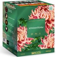 Хризантемы Фейерверк купить в Сосновом Боре Ленинградской области | sosnovyjborleningradskaya.salutsklad.ru