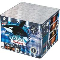 Косатка Фейерверк купить в Сосновом Боре Ленинградской области | sosnovyjborleningradskaya.salutsklad.ru