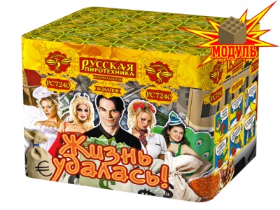 Жизнь удалась Фейерверк купить в Сосновом Боре Ленинградской области | sosnovyjborleningradskaya.salutsklad.ru