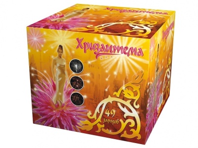 Хризантема Салют купить в Сосновом Боре Ленинградской области | sosnovyjborleningradskaya.salutsklad.ru