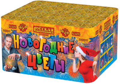 Новогодние цветы Фейерверк купить в Сосновом Боре Ленинградской области | sosnovyjborleningradskaya.salutsklad.ru