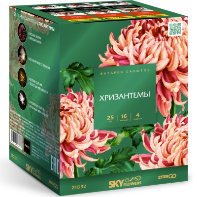 Хризантемы Фейерверк купить в Сосновом Боре Ленинградской области | sosnovyjborleningradskaya.salutsklad.ru