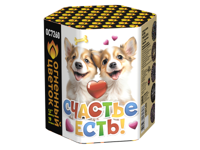 Счастье есть! Салют купить в Сосновом Боре Ленинградской области | sosnovyjborleningradskaya.salutsklad.ru