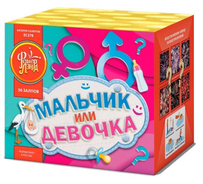 Мальчик или девочка М Фейерверк купить в Сосновом Боре Ленинградской области | sosnovyjborleningradskaya.salutsklad.ru